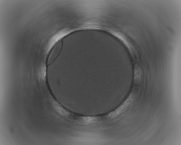 X0000113261461200909241512