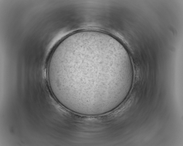 X0000113261462200909241512