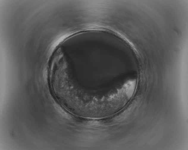 X0000113261463200909241512