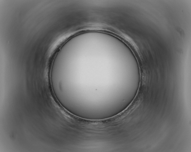 X0000113261464200909241512