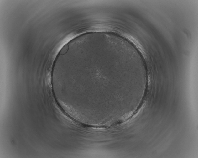 X0000113261465200909241512