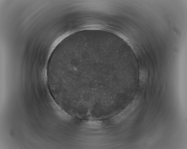 X0000113261466200909241512