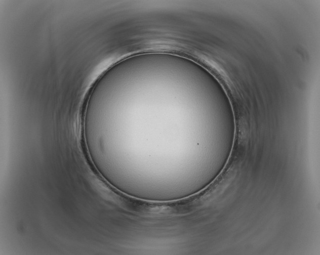 X0000113261467200909241512