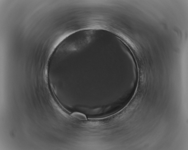 X0000113261468200909241512