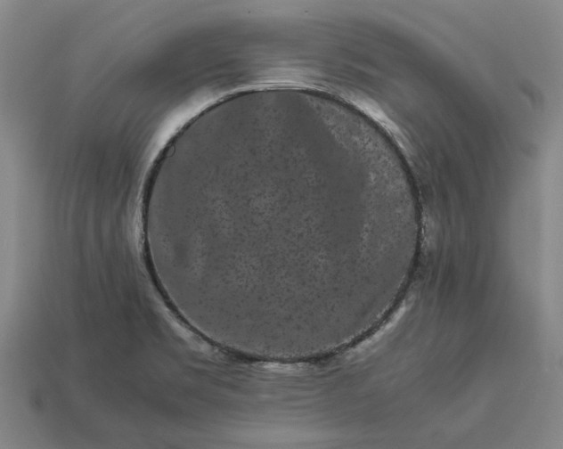 X0000113261469200909241512