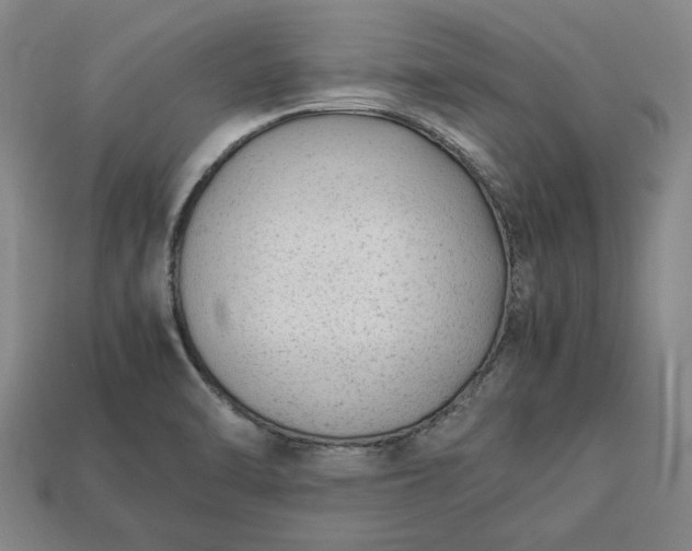 X0000113261470200909241512