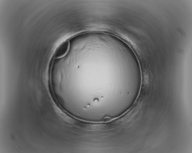 X0000113261471200909241512