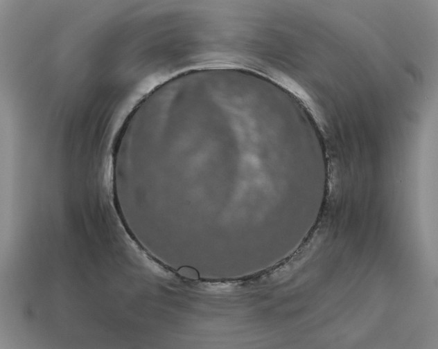 X0000113261472200909241512