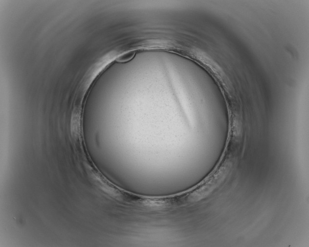 X0000113261473200909241512