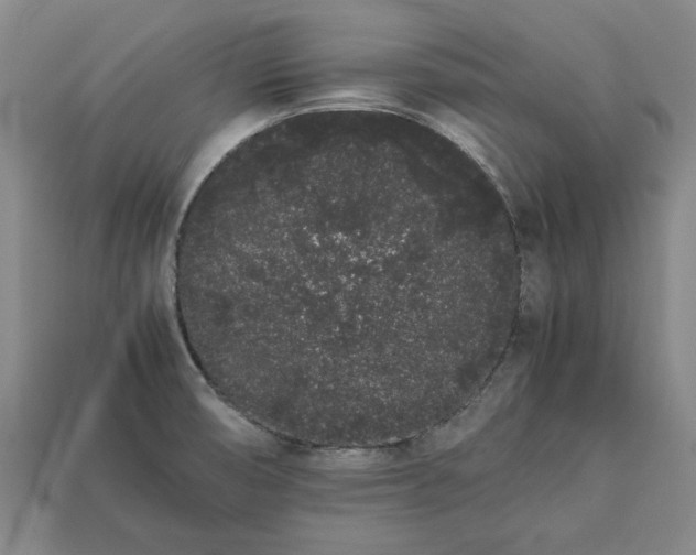 X0000113261474200909241512