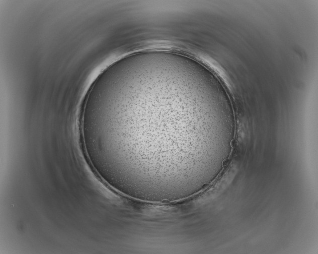 X0000113261475200909241512