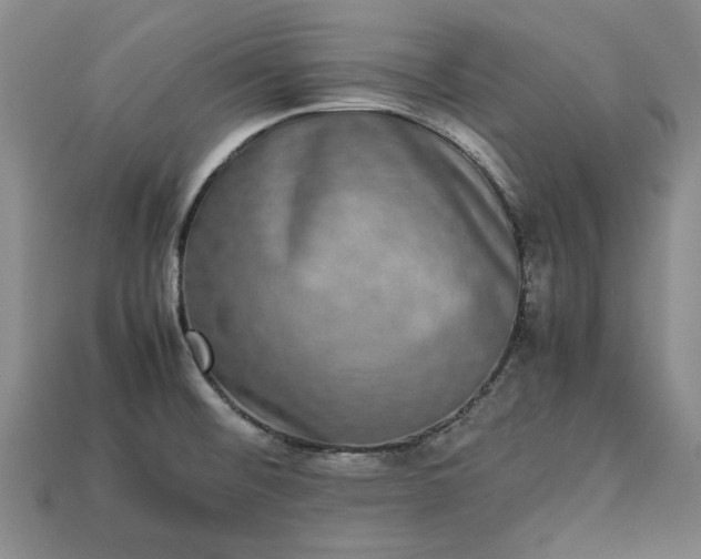 X0000113261476200909241512