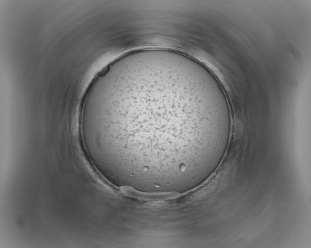 X0000113261477200909241512