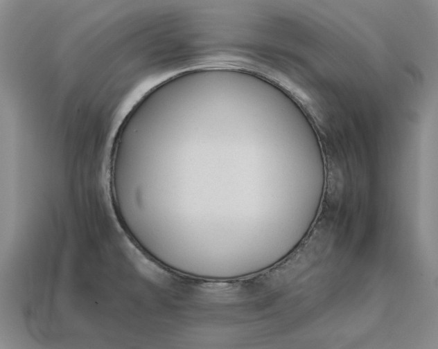 X0000113261478200909241512