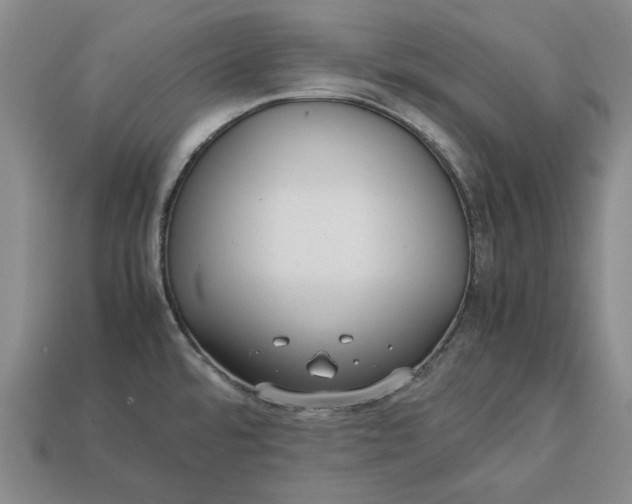 X0000113261480200909241512