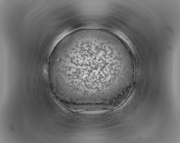 X0000113261481200909241512