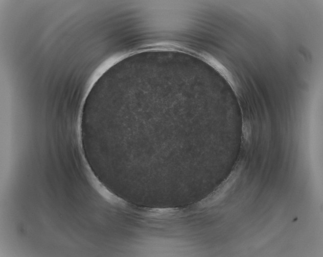 X0000113261482200909241512