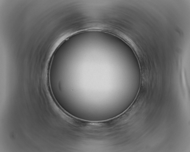 X0000113261483200909241512