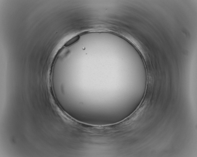 X0000113261485200909241512