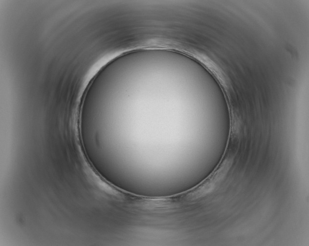 X0000113261486200909241512