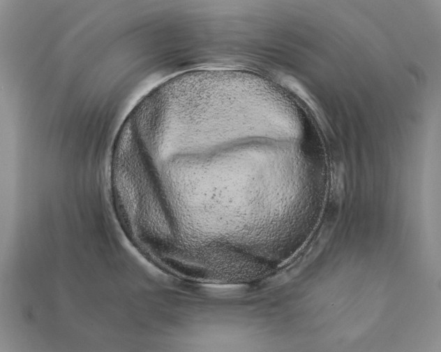 X0000113261487200909241512