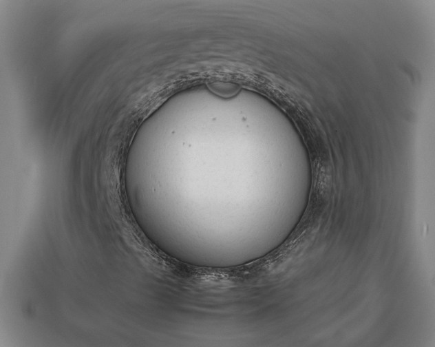 X0000113261489200909241511