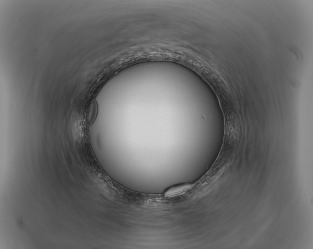 X0000113261490200909241511