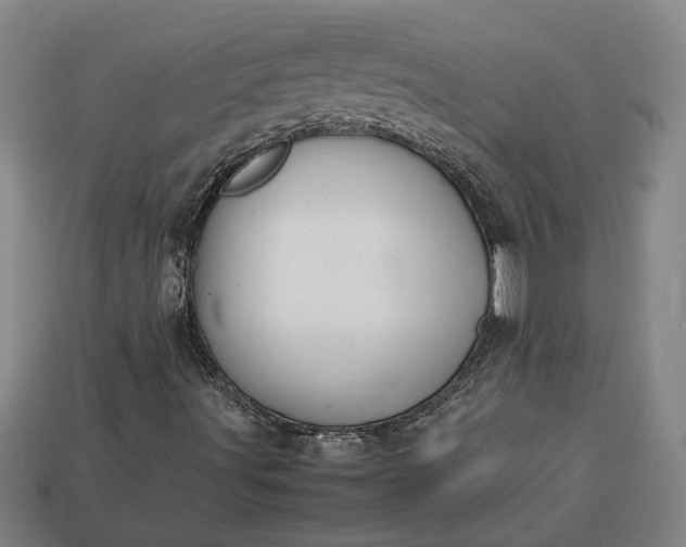 X0000113261491200909241511