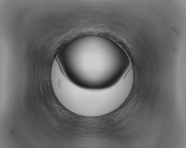 X0000113261492200909241511