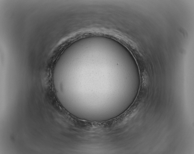 X0000113261494200909241511