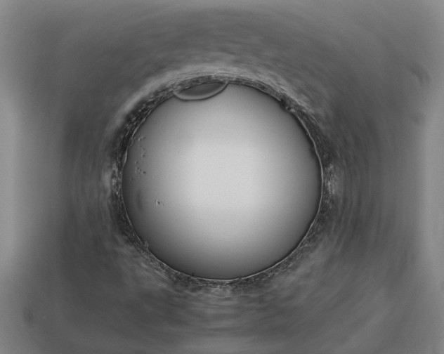 X0000113261495200909241511