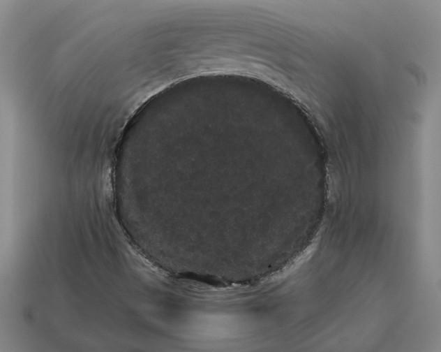 X0000113261497200909241511