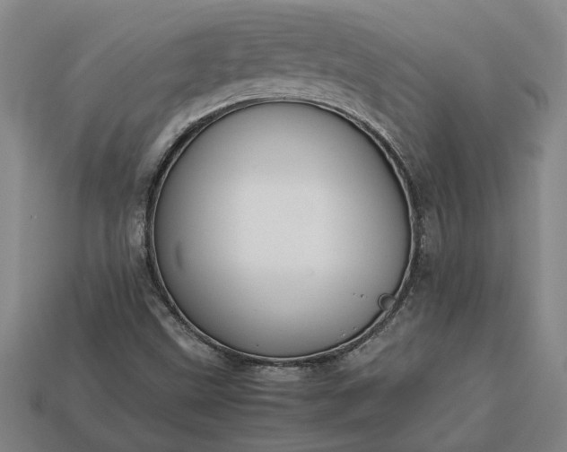 X0000113261499200909241511