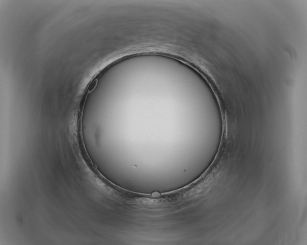 X0000113261500200909241511