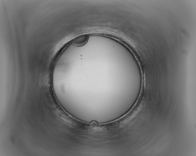 X0000113261501200909241511