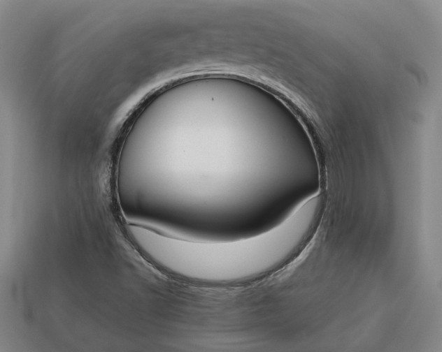 X0000113261502200909241511