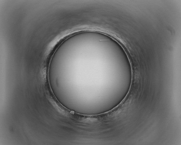 X0000113261503200909241511