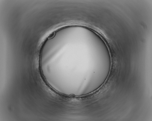 X0000113261504200909241511