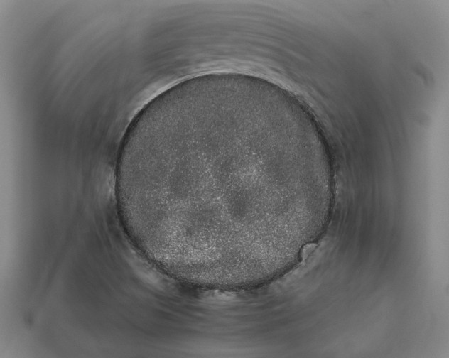 X0000113261505200909241511