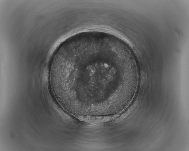 X0000113261506200909241511