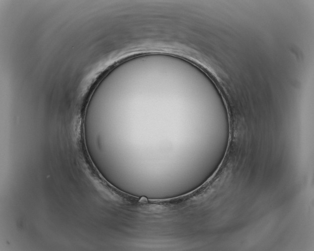 X0000113261507200909241511