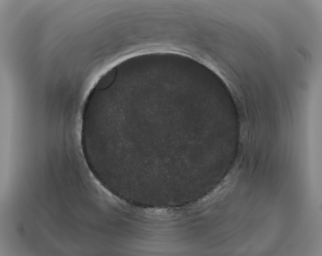 X0000113261508200909241511