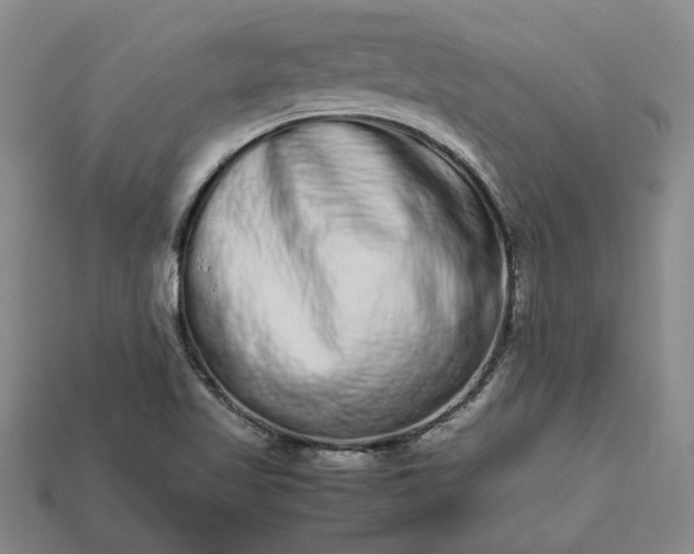 X0000113261509200909241511