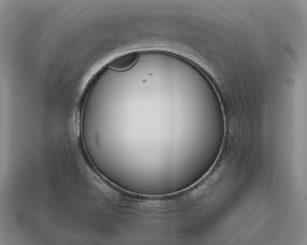 X0000113261510200909241511