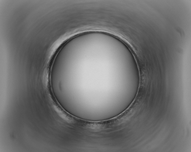 X0000113261511200909241511