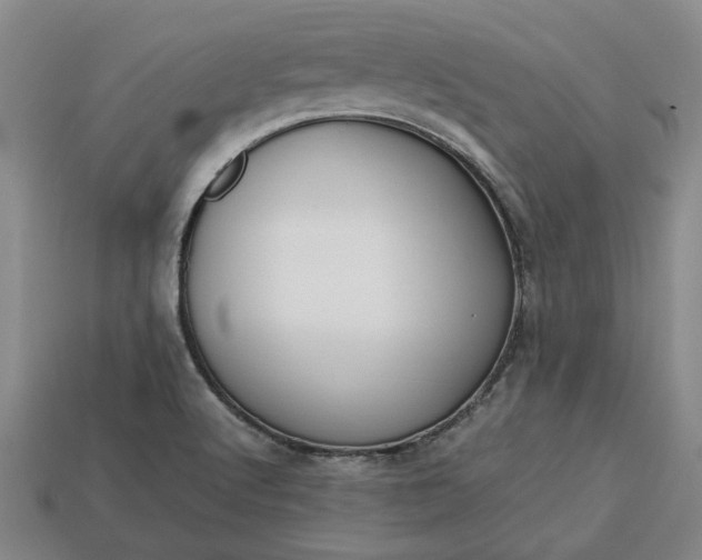 X0000113261512200909241511