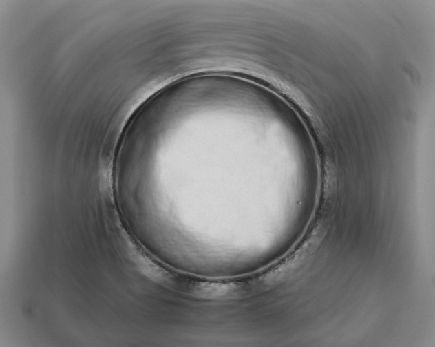 X0000113261513200909241512