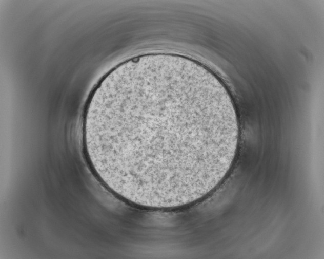 X0000113261514200909241512