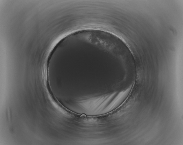 X0000113261515200909241512