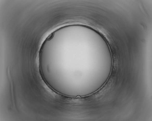 X0000113261516200909241512